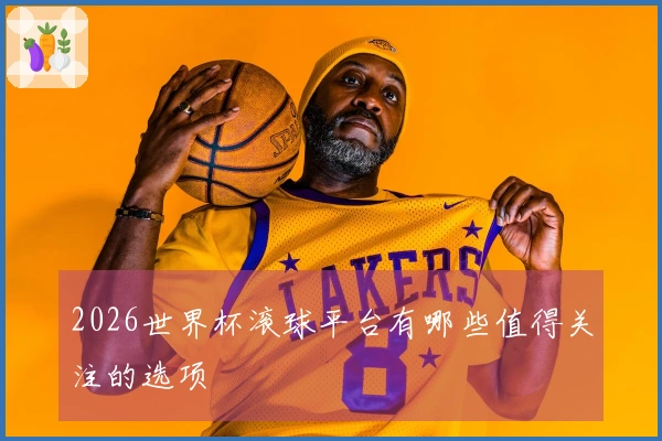2026世界杯滚球平台有哪些值得关注的选项