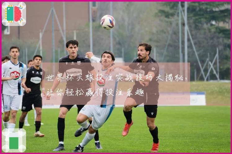 世界杯买球投注实战技巧大揭秘，让你轻松赢得投注乐趣