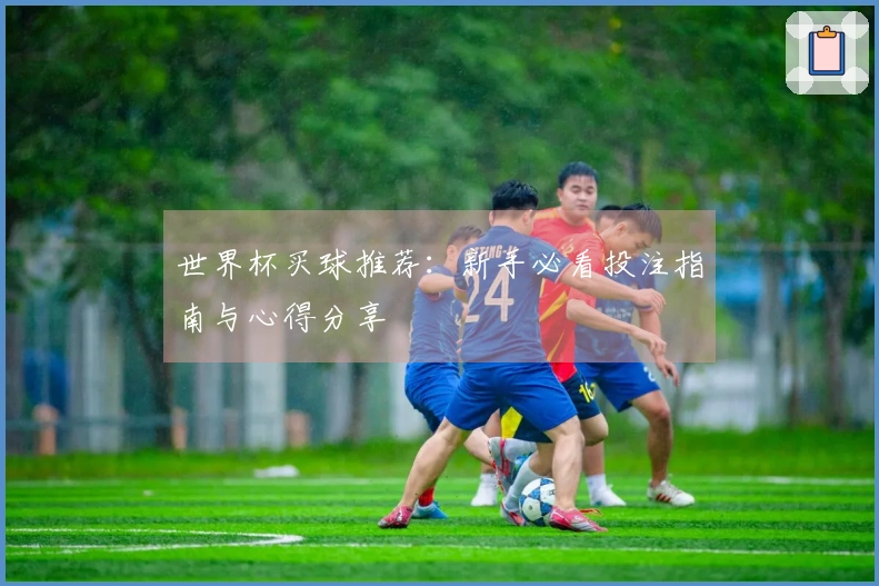 世界杯买球推荐：新手必看投注指南与心得分享