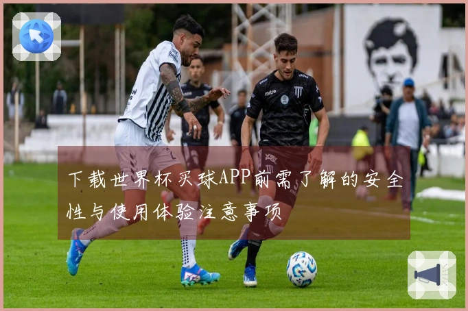 下载世界杯买球APP前需了解的安全性与使用体验注意事项