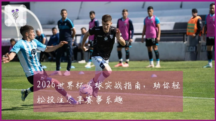 2026世界杯买球实战指南，助你轻松投注尽享赛事乐趣