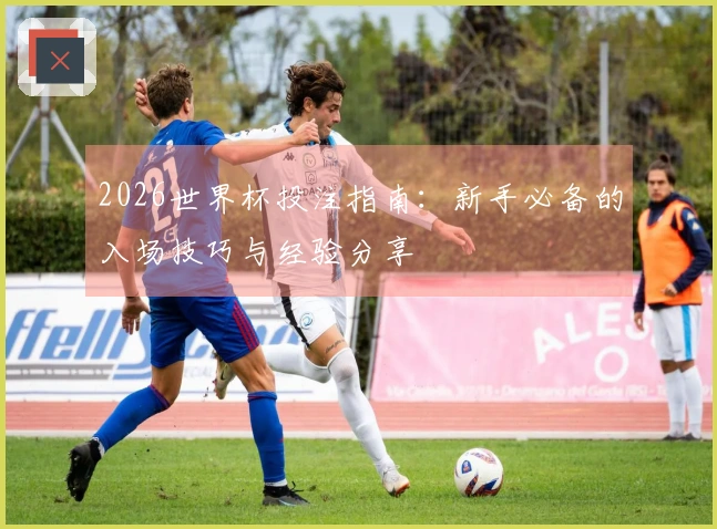 2026世界杯投注指南：新手必备的入场技巧与经验分享