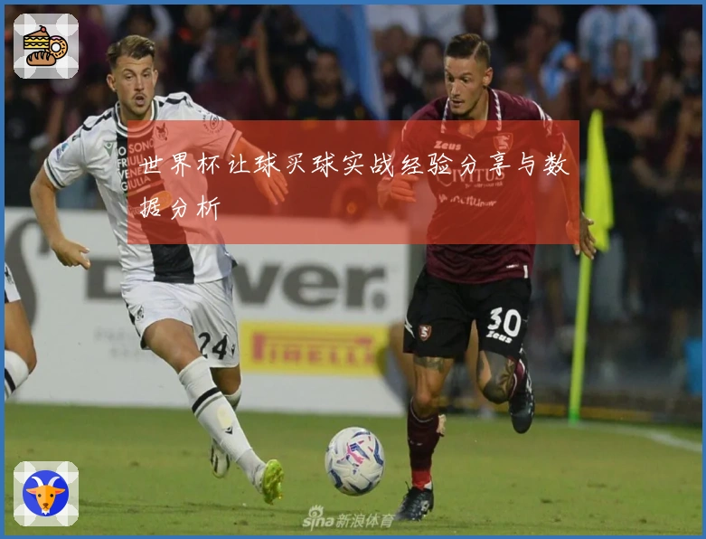世界杯让球买球实战经验分享与数据分析