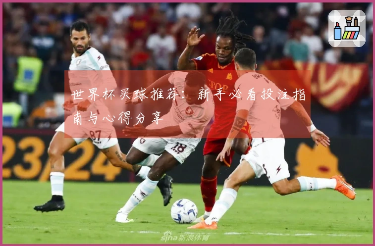 世界杯买球推荐：新手必看投注指南与心得分享