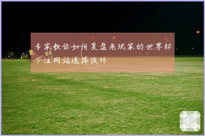 专家教你如何复盘老玩家的世界杯下注网站选择技巧