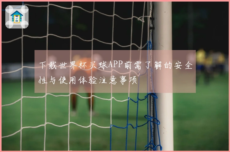 下载世界杯买球APP前需了解的安全性与使用体验注意事项